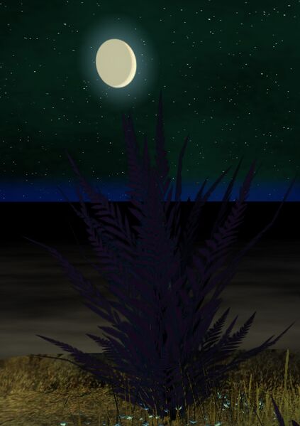 File:Bamboo.jpg